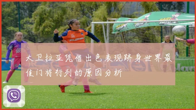大卫拉亚凭借出色表现跻身世界最佳门将行列的原因分析